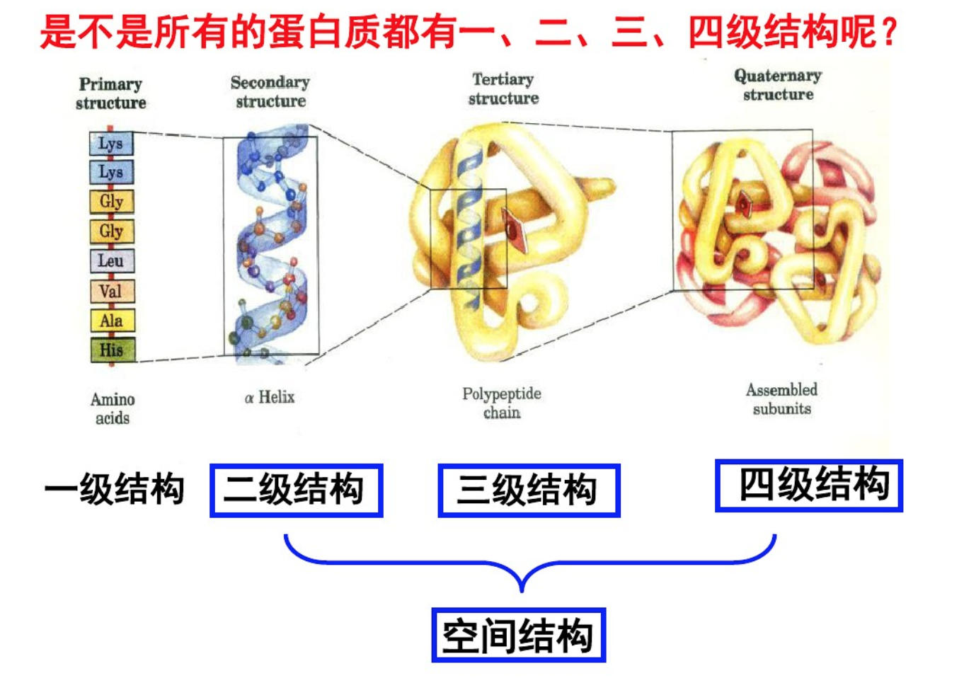 SCI示意图：细胞内传质示意图|三维|其他三维|HYP_JNU - 原创作品 - 站酷 (ZCOOL)